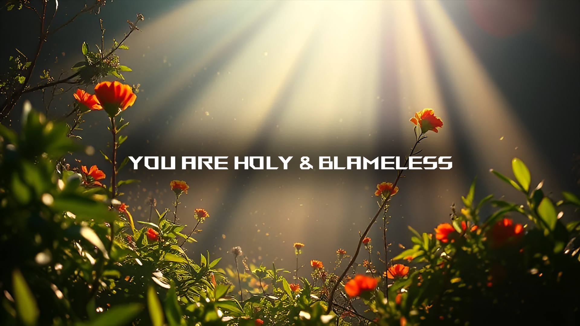 You Are Holy & Blameless